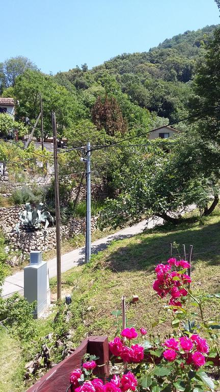 Apartament Ilario Cres